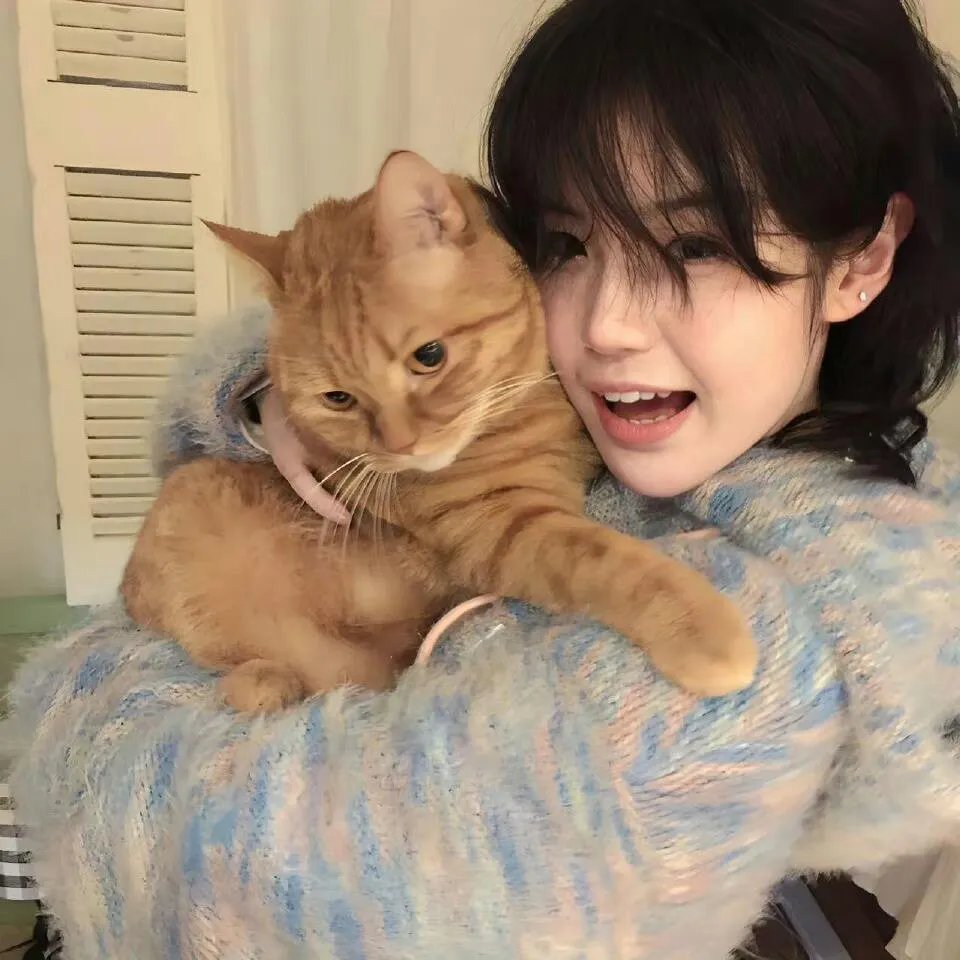 道观被拆八百岁的我只好下山了